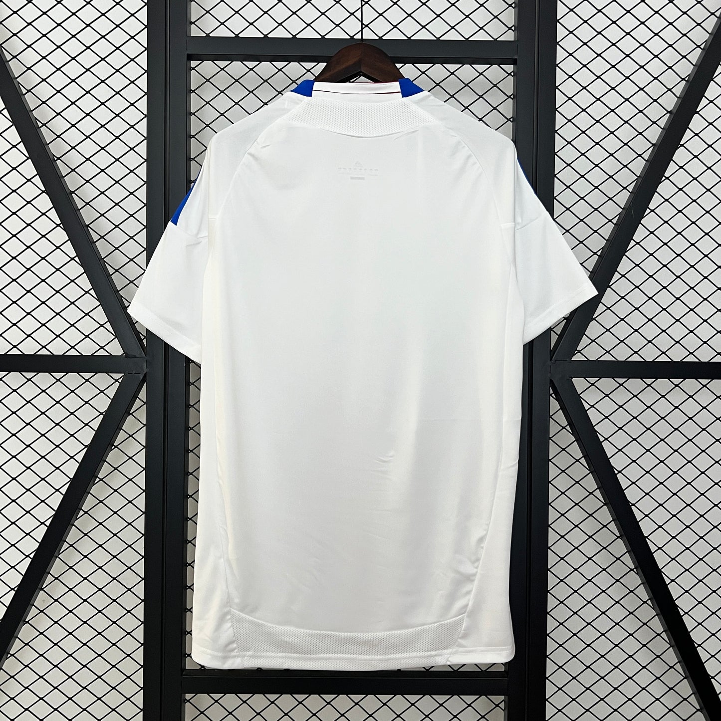 Retro Lyon 2010/11 Home Jersey