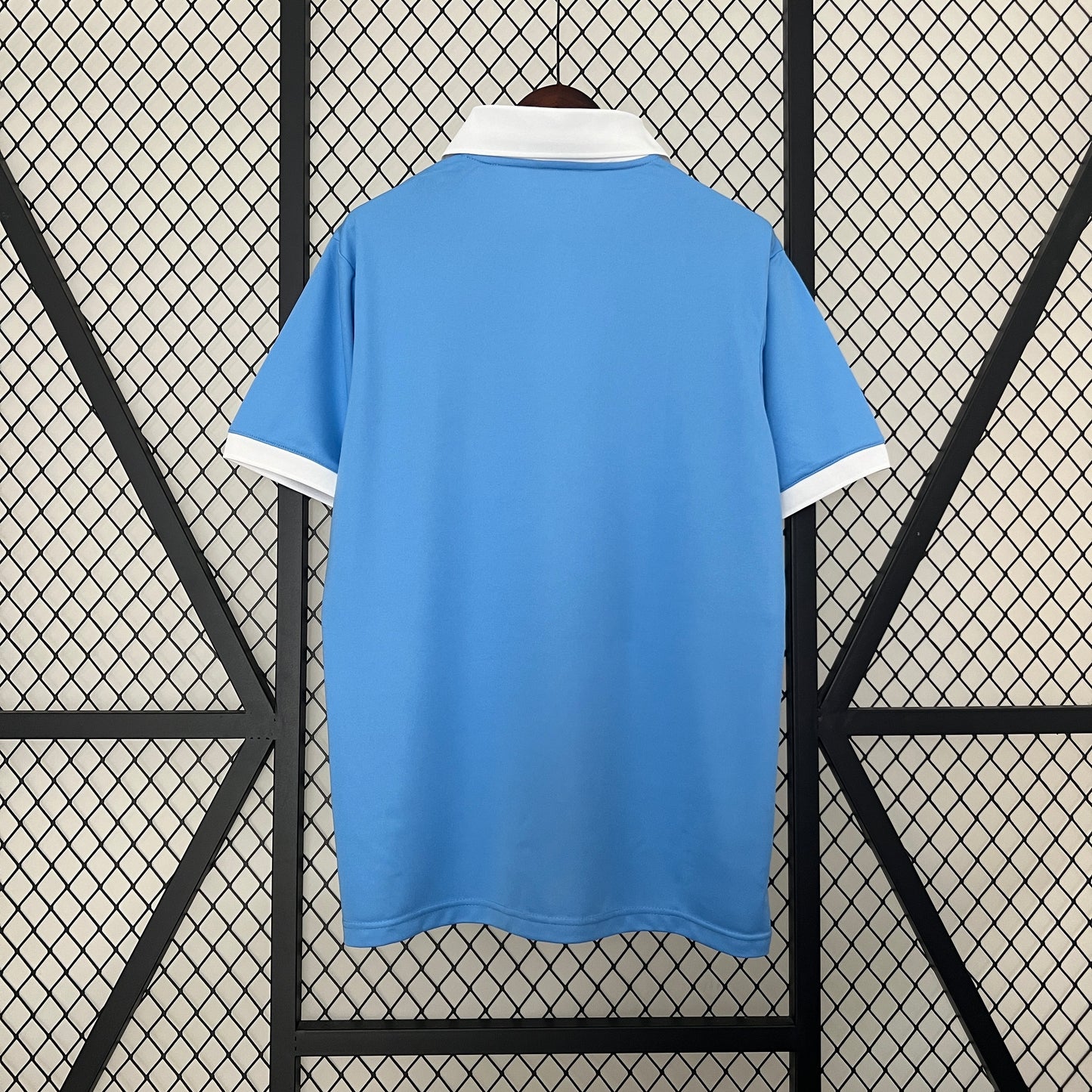 Japan 2024 Special Edition Jersey