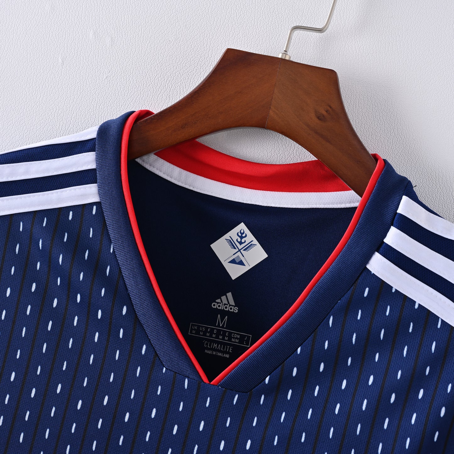 Retro Japan 2018 Jersey