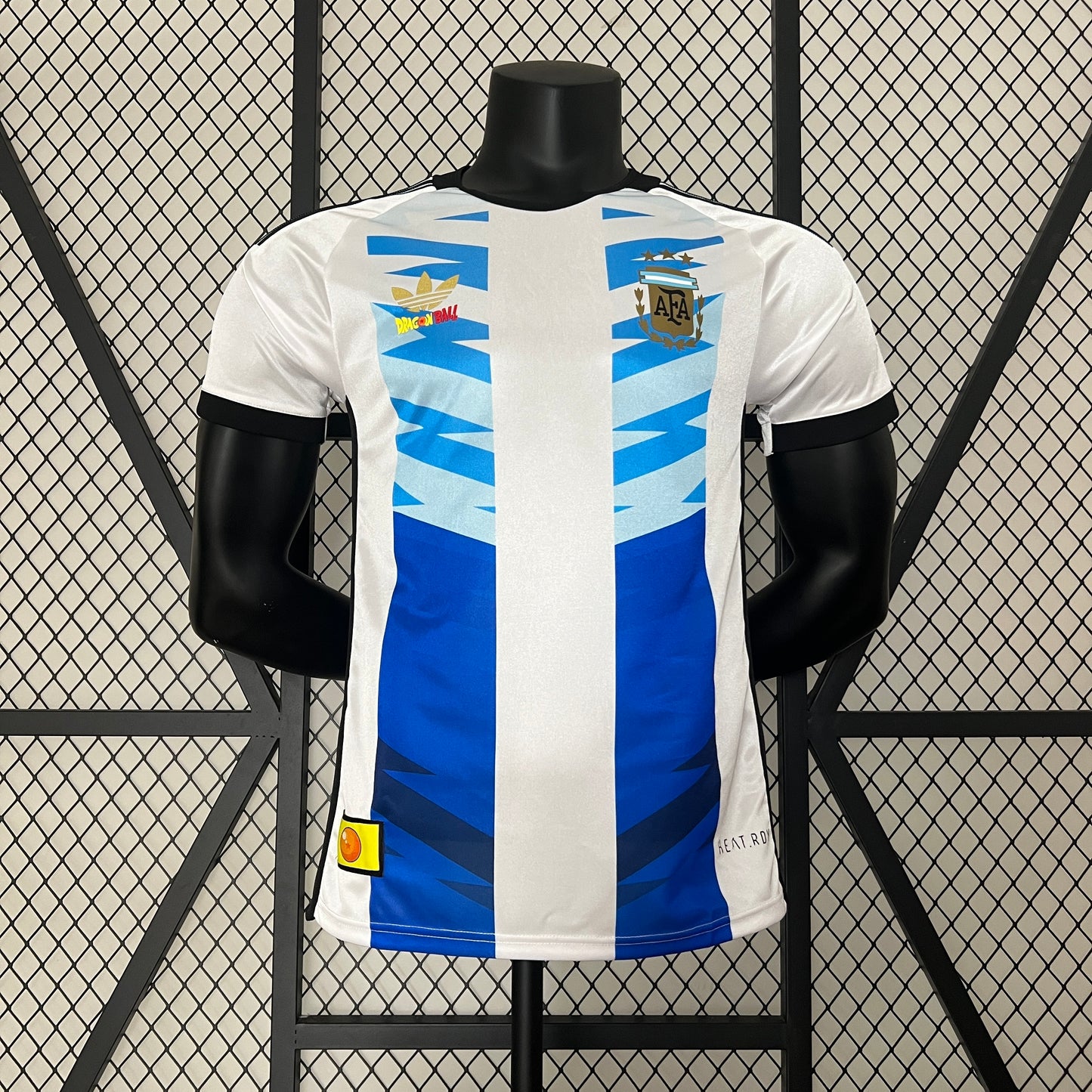 Argentina 2024 Special Edition Jersey