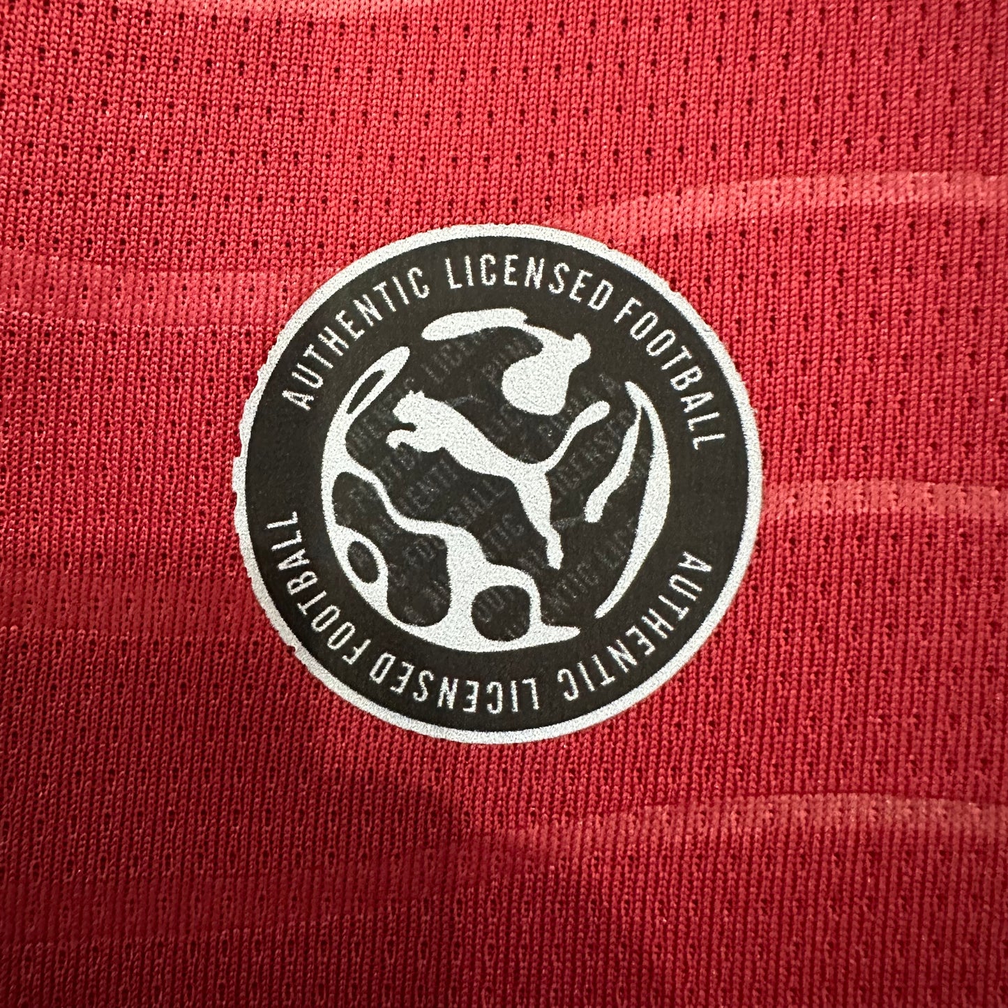 Portugal 2026 Home Jersey