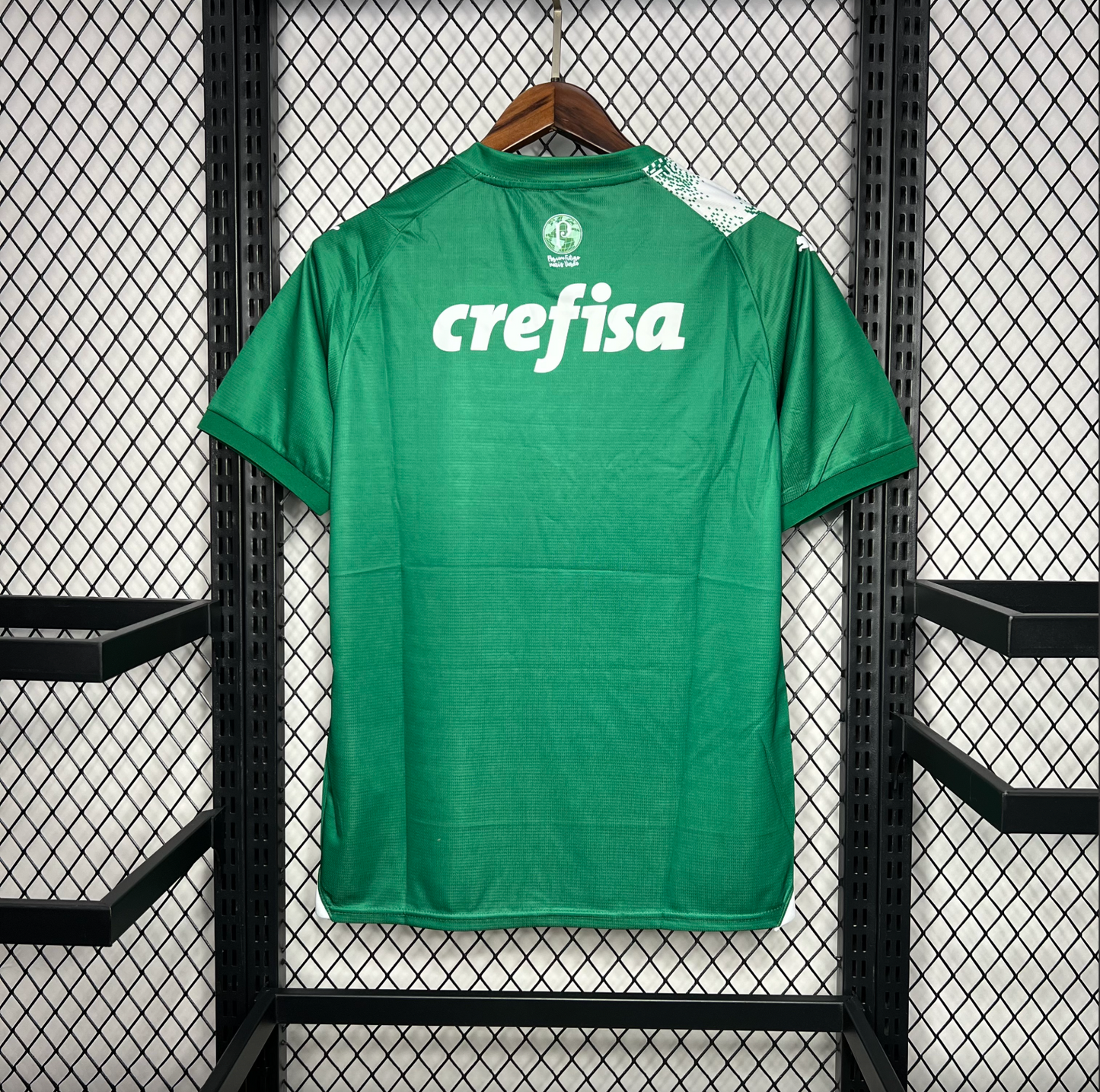 Palmeiras 24/25 Green Special Jersey