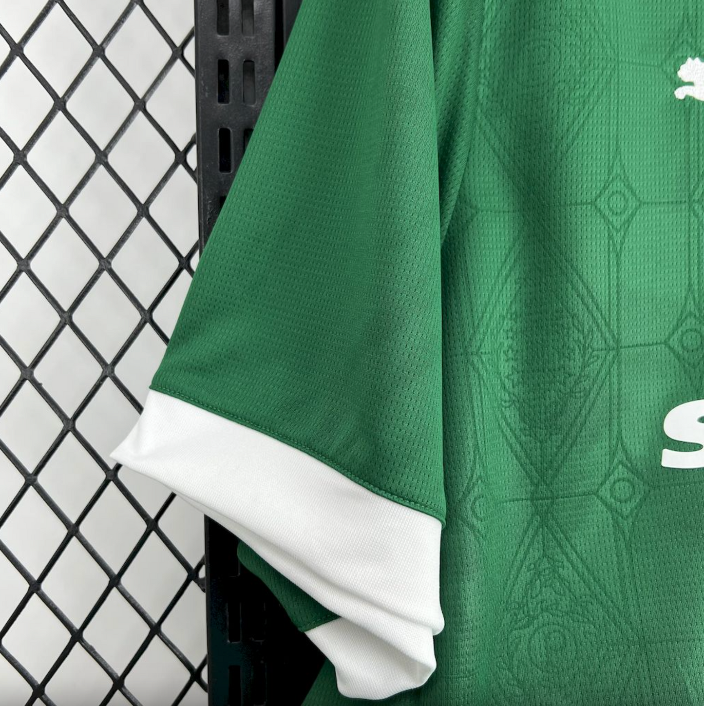 Palmeiras 25/26 Home Jersey